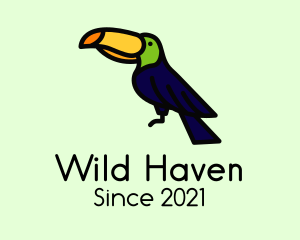 Perched Wild Toucan logo design