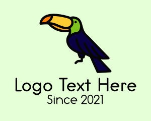 Birdwatch - Perched Wild Toucan logo design