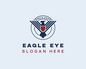 Eagle Shield Air Force logo design