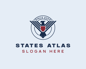 Eagle Shield Air Force logo design