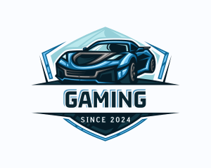 Racing Automotive Detailing Logo