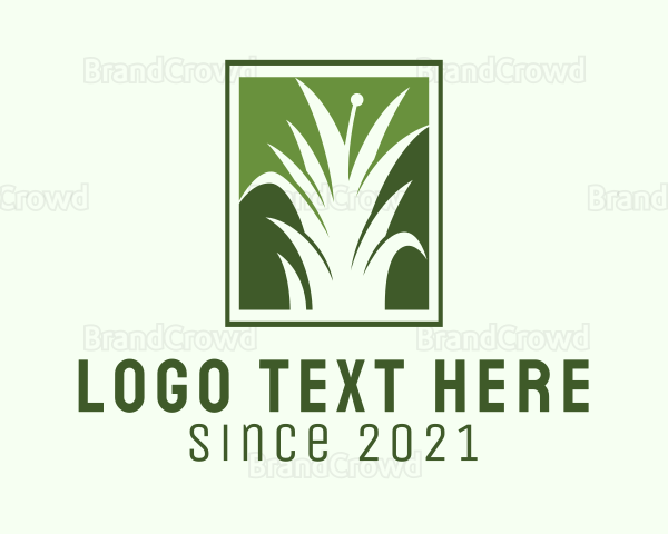 Green Grass Lawn Service Logo