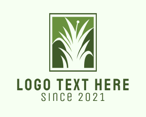 Lawn Service - Green Grass Lawn Service logo design