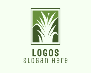 Green Grass Lawn Service  Logo