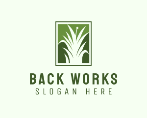 Green Grass Lawn Service  logo design