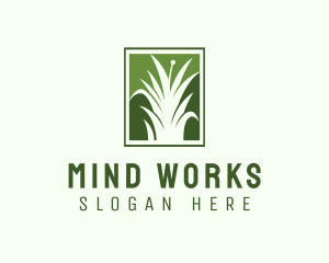 Green Grass Lawn Service  logo design