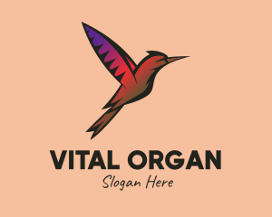 Gradient Hummingbird Flying logo design