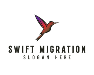 Gradient Hummingbird Flying logo design