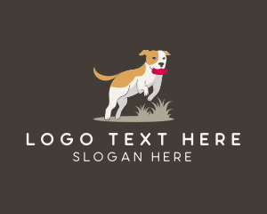 Veterinary - Pet Playing Dog logo design