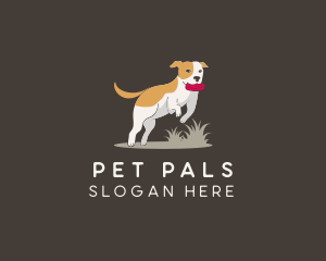 Pet Playing Dog logo design