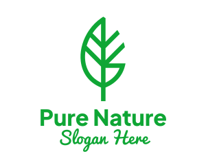 Organic Nature Herb logo design