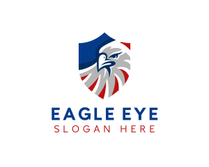 USA Eagle Shield logo design