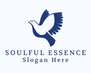 Spiritual - Spiritual Dove Bird logo design