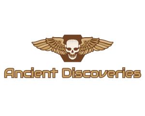 Gold Wing Skull logo design