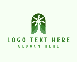 Coconut Tree - Tropical Palm Tree logo design