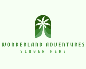 Tropical Palm Tree  logo design