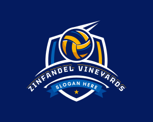 Sport Volleyball Shield logo design