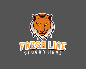 Predator Tiger Beast logo design