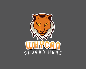Predator Tiger Beast logo design