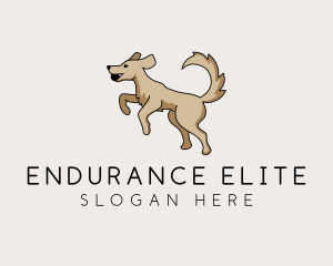 Playing Dog Pet logo design