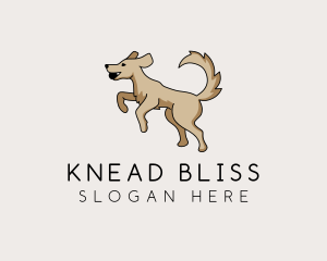 Playing Dog Pet logo design