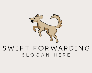 Playing Dog Pet logo design