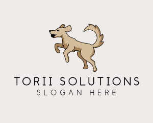 Playing Dog Pet logo design