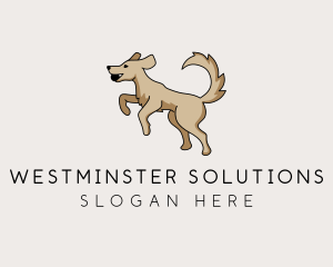 Playing Dog Pet logo design