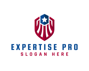 American Protection Shield logo design