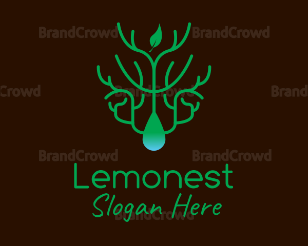 Eco Friendly Leaf Droplet Logo