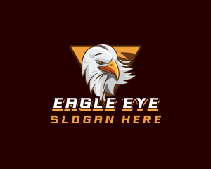 Eagle Hawk Gaming logo design