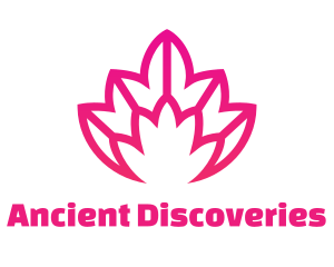 Pink Lotus Line Art logo design