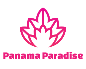 Pink Lotus Line Art logo design