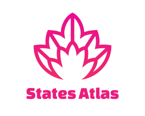 Pink Lotus Line Art logo design