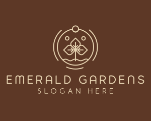 Eco Plant Seedling logo design