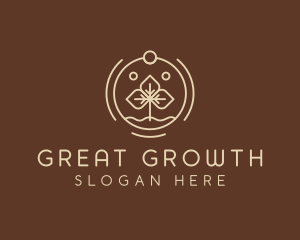 Eco Plant Seedling logo design