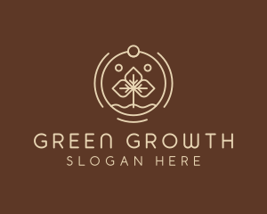 Eco Plant Seedling logo design