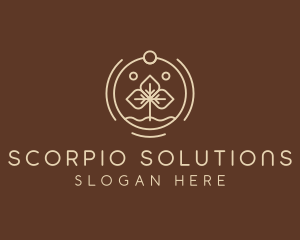 Eco Plant Seedling logo design