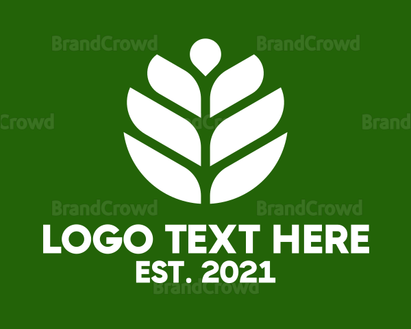 Plant Herb Leaf Logo