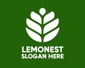 Plant Herb Leaf  Logo