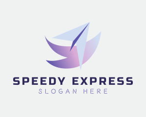 Express Courier Plane logo design