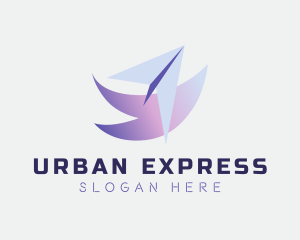 Express Courier Plane logo design