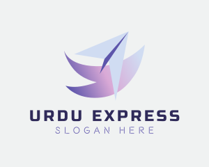 Express Courier Plane logo design