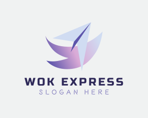 Express Courier Plane logo design