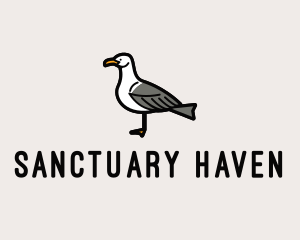 Seagull Bird Sanctuary logo design