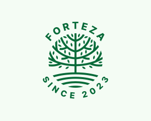 Forest Tree Nature Garden  logo design