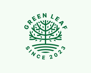 Forest Tree Nature Garden  logo design