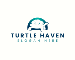 Turtle - Wild Turtle Tortoise logo design