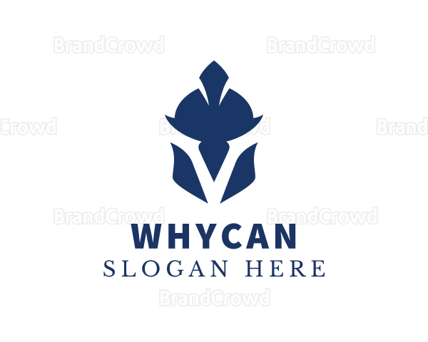 Spartan Soldier Helmet Letter V Logo