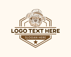 Dog Pet Veterinary logo design